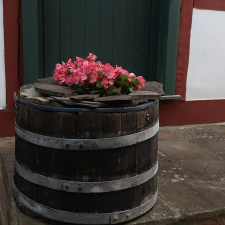 בית נופש In Der Thueringischen Rhoen Kieselbach