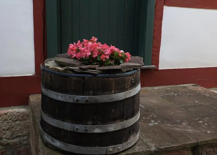 בית נופש In Der Thueringischen Rhoen Kieselbach